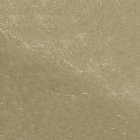54" Nassimi Glaze Beach (101) Vinyl Fabric Image 1