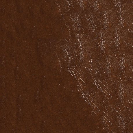 54" Nassimi Glaze Cedar (003) Vinyl Fabric Image 1