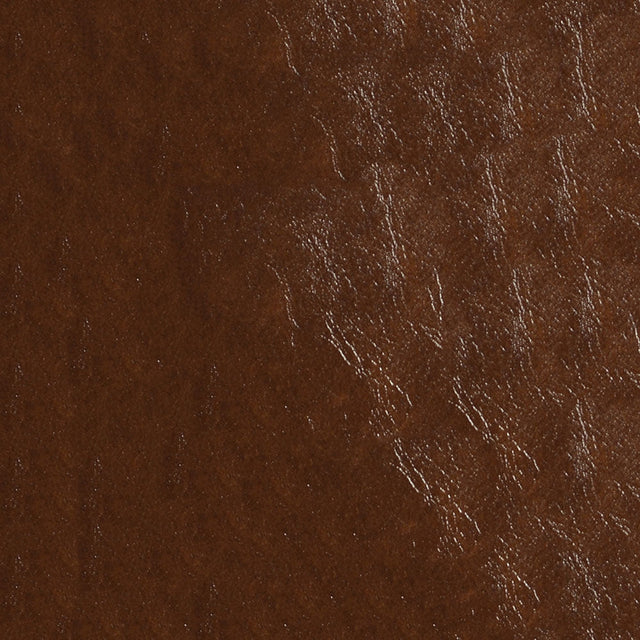 54" Nassimi Glaze Cedar (003) Vinyl Fabric Image 1