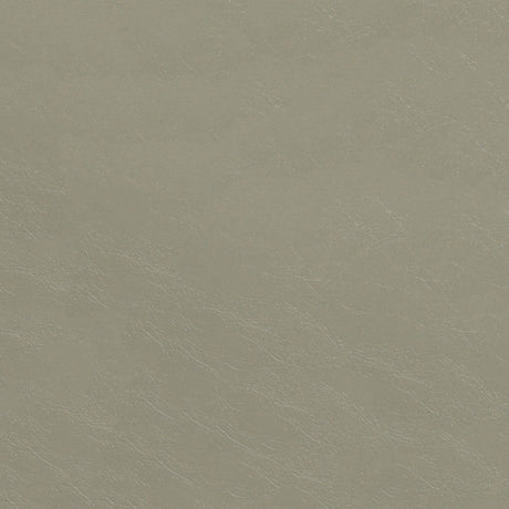 54" Nassimi Glaze Haze (104) Vinyl Fabric Image 1