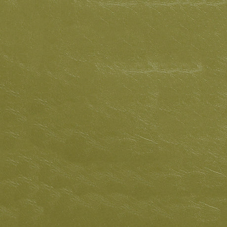 54" Nassimi Glaze Kiwi (007) Vinyl Fabric Image 1