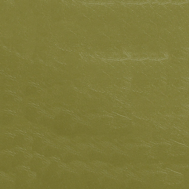 54" Nassimi Glaze Kiwi (007) Vinyl Fabric Image 1