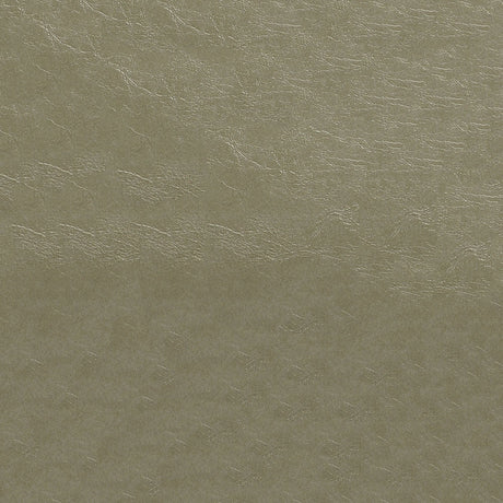 54" Nassimi Glaze Pumice (107) Vinyl Fabric Image 1