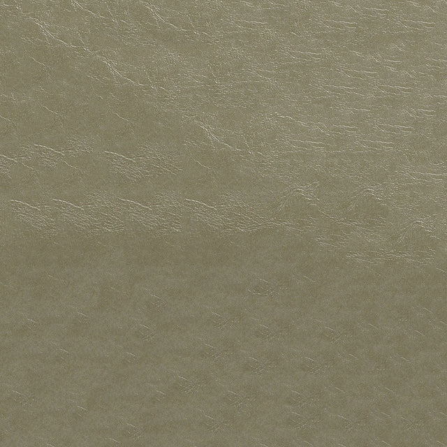 54" Nassimi Glaze Pumice (107) Vinyl Fabric Image 1