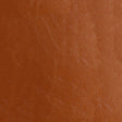 54" Nassimi Glaze Sequoia (013) Vinyl Fabric Image 1