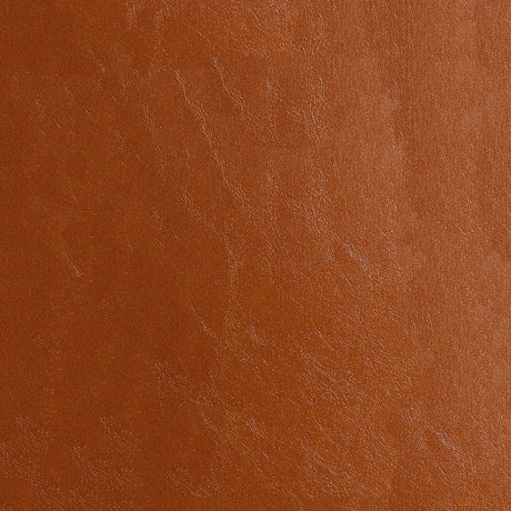 54" Nassimi Glaze Sequoia (013) Vinyl Fabric Image 1