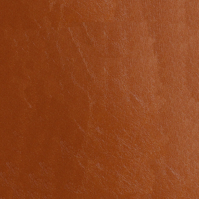 54" Nassimi Glaze Sequoia (013) Vinyl Fabric Image 1