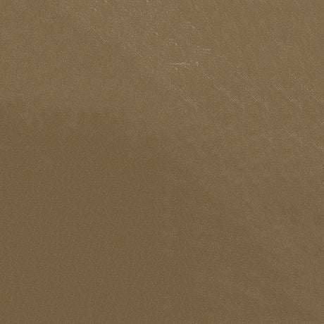 54" Nassimi Glaze Tannery (111) Vinyl Fabric Image 1