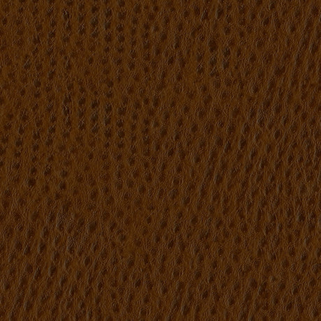 54" Nassimi™ Phoenix Outback (010) Vinyl Fabric Image 1