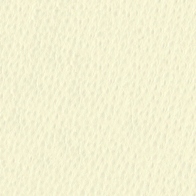 54" Nassimi™ Phoenix Snowflake (012) Vinyl Fabric Image 1