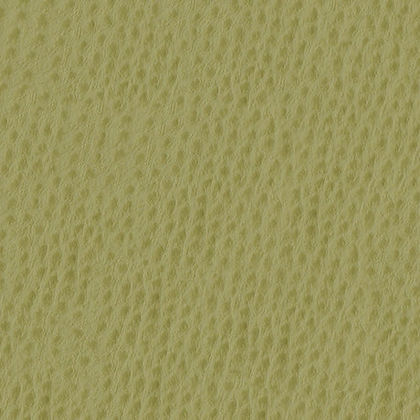 54" Nassimi™ Phoenix Willow (013) Vinyl Fabric Image 1