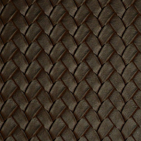 54" Nassimi™ San Remo Pine Cone (005) Vinyl Fabric Image 1
