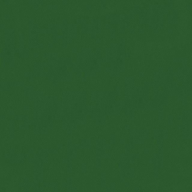54" Naugahyde® Spirit Millennium Neebo (533) Vinyl Fabric Image 1