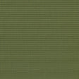 54" Phifertex® Plus Dupioni Kiwi (DJ7 3021366) Vinyl Mesh Fabric Image 1