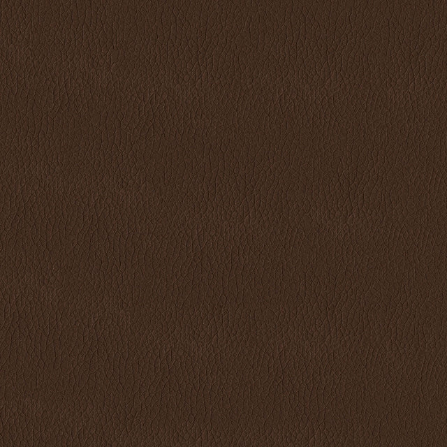 54" Premier Earth (084) Faux Leather Fabric Image 1