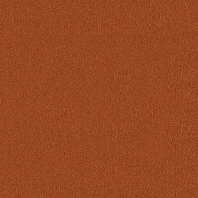 54" Premier Pumpkin (1022) Faux Leather Fabric Image 1