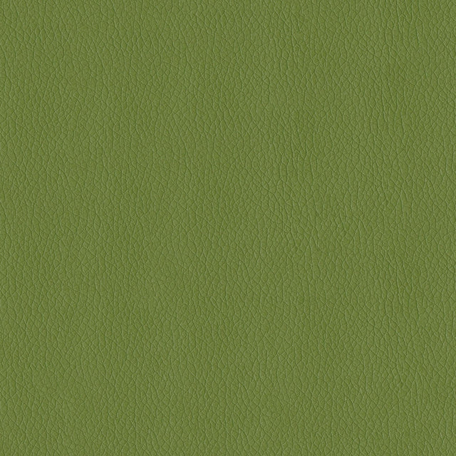 54" Premier Sprig (205) Faux Leather Fabric Image 1