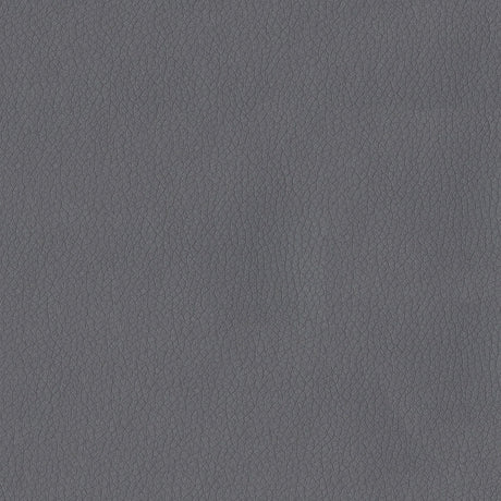54" Premier Steel (905) Faux Leather Fabric Image 1
