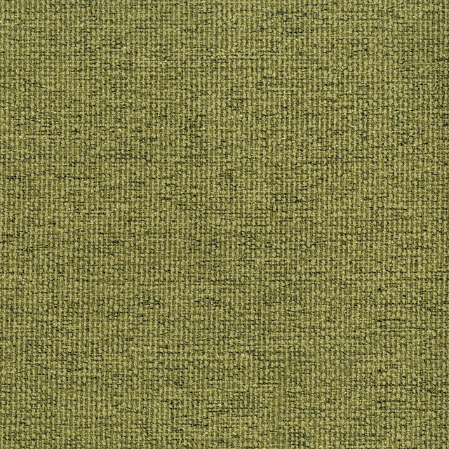 54" Saturn Pistachio (205) Upholstery Fabric Image 1