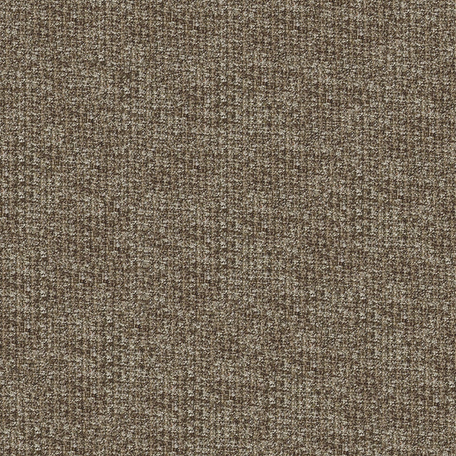 54" Sentry Wren (87) Upholstery Fabric Image 1