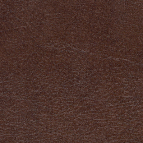 54" Spradling® Allegro Briarwood (7066) Vinyl Fabric Image 1