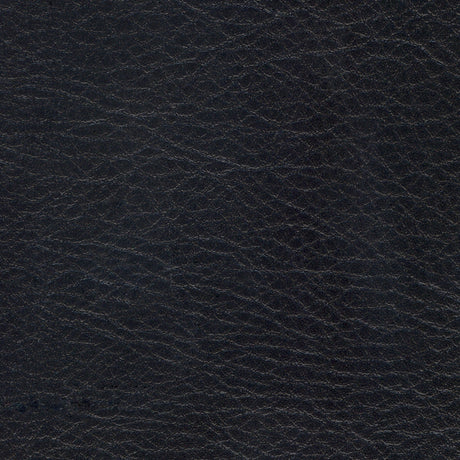 54" Spradling® Allegro Coal (7060) Vinyl Fabric Image 1