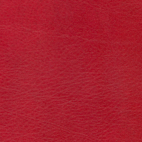54" Spradling® Allegro Garnet (7054) Vinyl Fabric Image 1