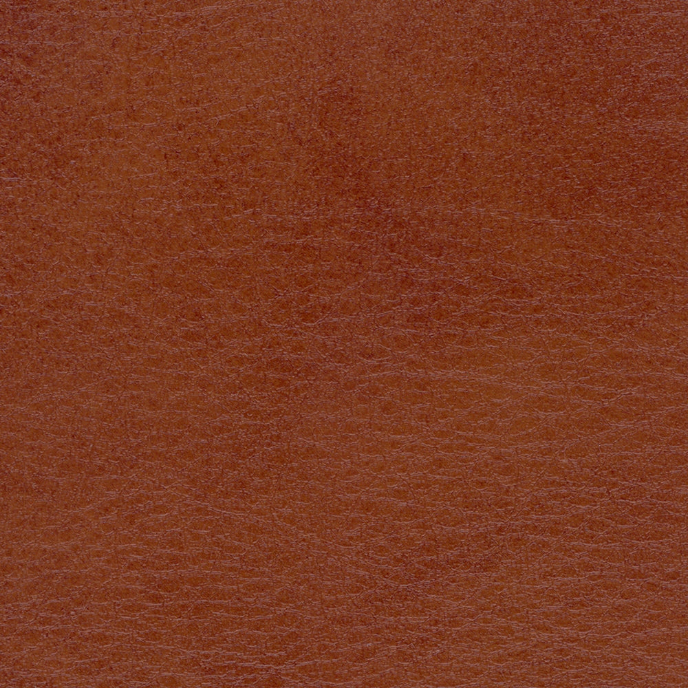 54" Spradling® Allegro Old Whiskey (7065) Vinyl Fabric Image 1