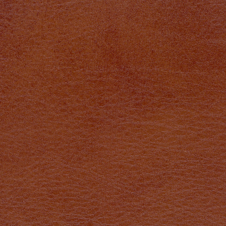 54" Spradling® Allegro Old Whiskey (7065) Vinyl Fabric Image 1