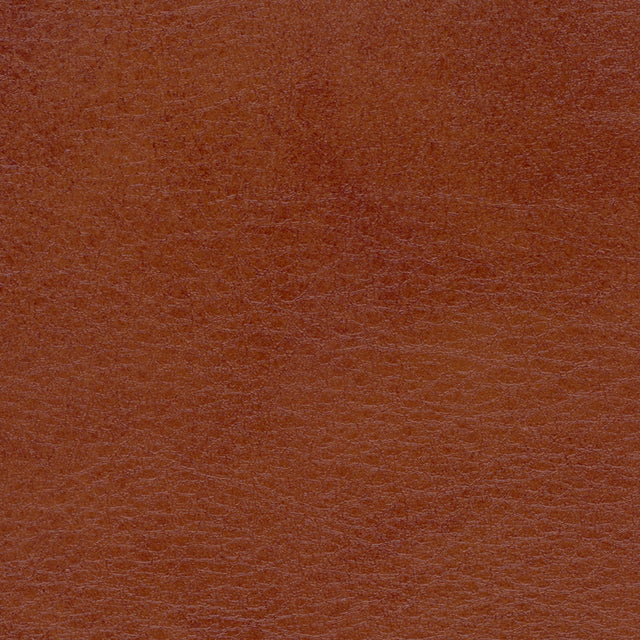 54" Spradling® Allegro Old Whiskey (7065) Vinyl Fabric Image 1