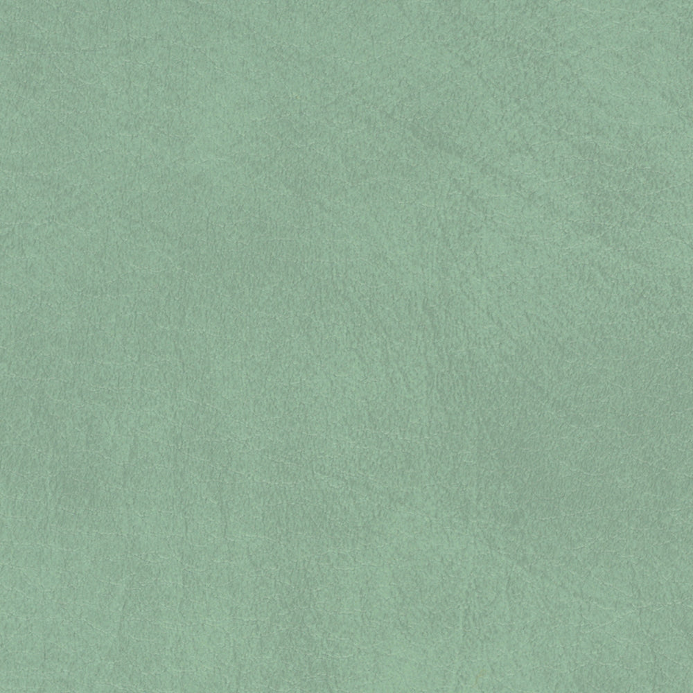 54" Spradling® Allegro Sage Green (7063) Vinyl Fabric Image 1