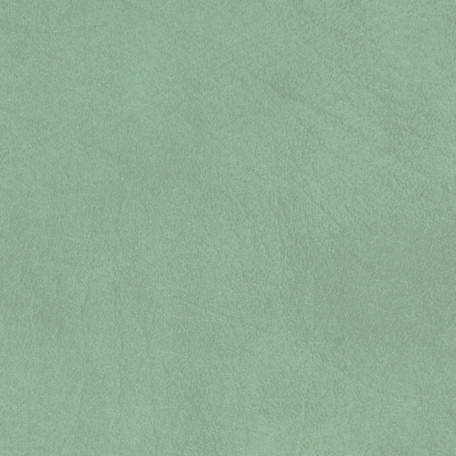 54" Spradling® Allegro Sage Green (7063) Vinyl Fabric Image 1