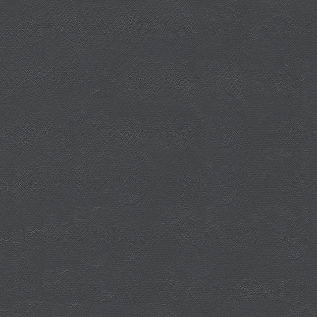 54" Spradling® Islander Gunmetal (9153) Vinyl Fabric Image 1