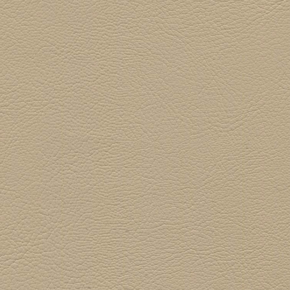 54" Spradling® Marlin Conch Shell (3227) Vinyl Fabric Image 1