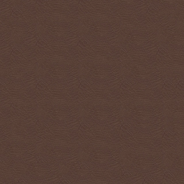54" Spradling® Seabreeze Gins Brown (860) Vinyl Fabric Image 1