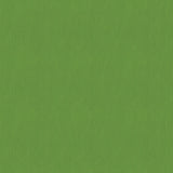 54" Spradling® Silvertex Creme de Menthe (8833) Vinyl Fabric