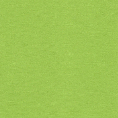 54" Spradling® Simtex Kiwi (077720) Vinyl Fabric Image 1