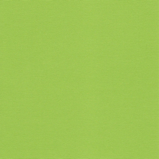 54" Spradling® Simtex Kiwi (077720) Vinyl Fabric Image 1