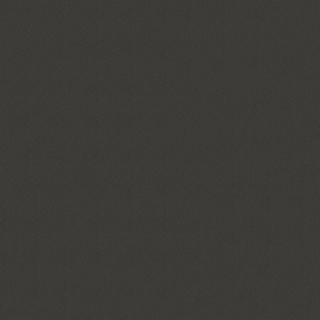 54" Spradling® Whisper Charcoal (2139) Vinyl Fabric Image 1