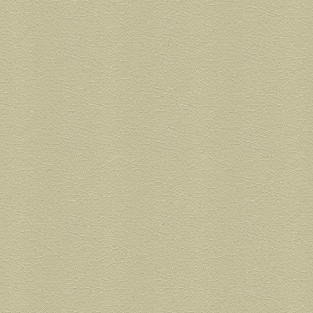 54" Spradling® Whisper Cucumber (2158) Vinyl Fabric Image 1