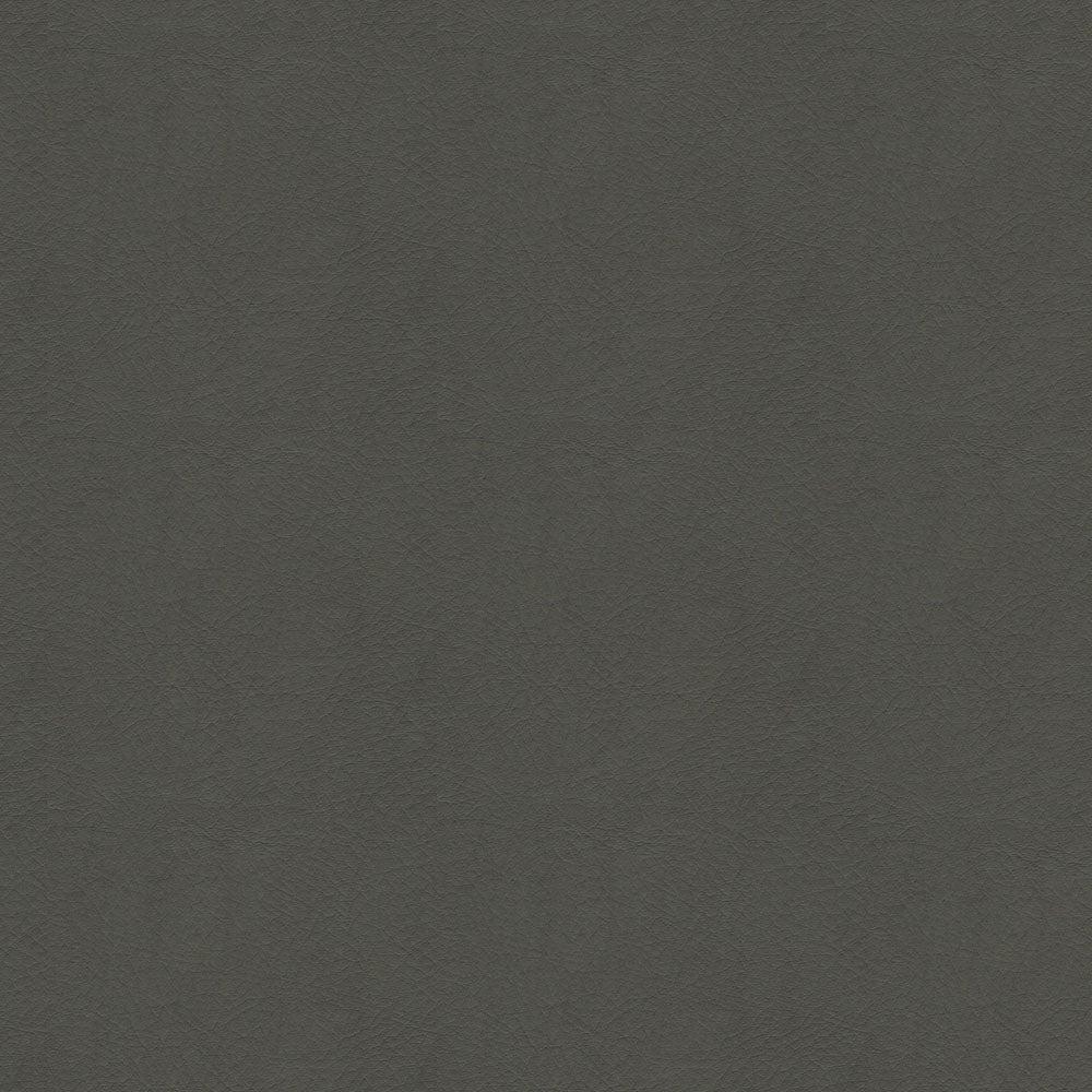 54" Spradling® Whisper Storm (2155) Vinyl Fabric Image 1
