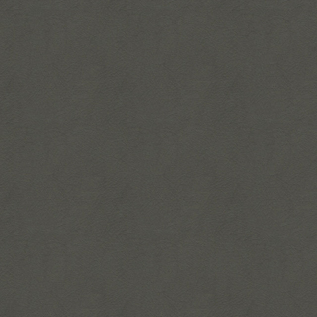 54" Spradling® Whisper Storm (2155) Vinyl Fabric Image 1