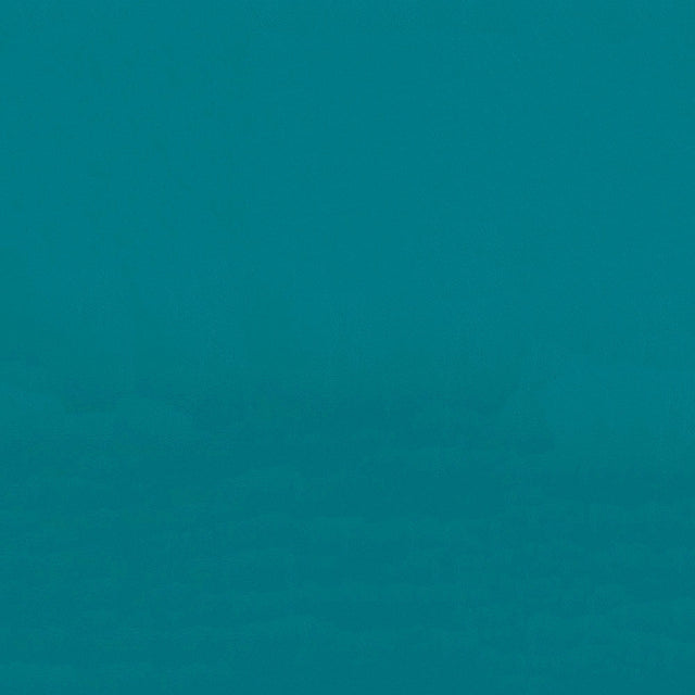 54" Spradling® Zander Aqua Marine (3121) Vinyl Fabric Image 1
