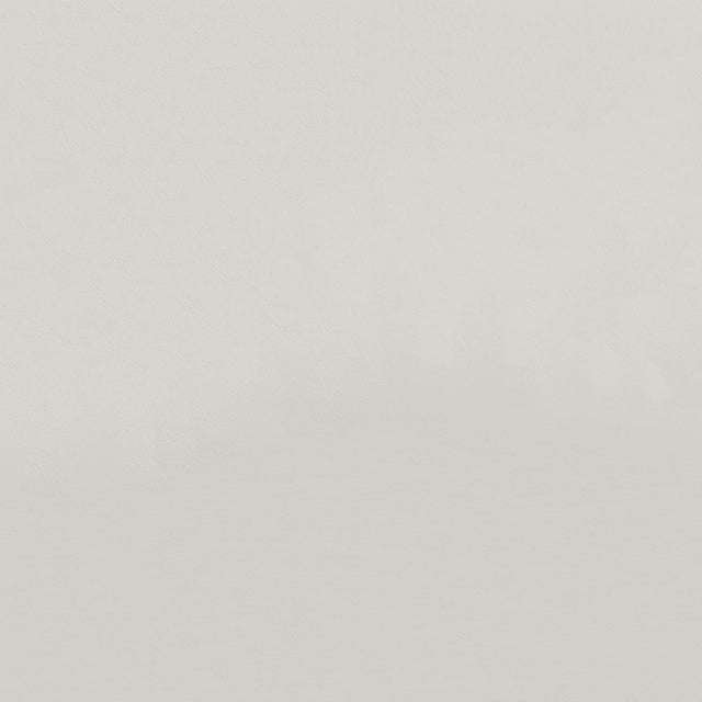 54" Spradling® Zander Off White (3104) Vinyl Fabric Image 1