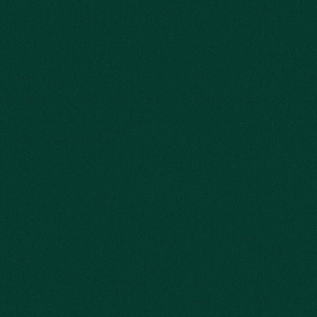 54" Sunbrella® Canvas Forest Green (5446-0000) Upholstery Fabric Image 1