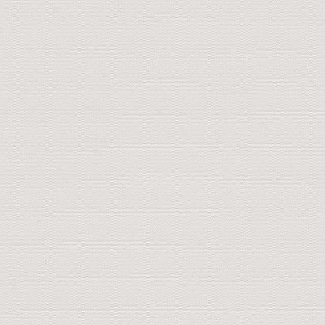 54" Sunbrella® Canvas White (57003-0000) Upholstery Fabric Image 1
