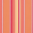 54" Sunbrella® Dolce Mango (56000-0000) Upholstery Fabric Image 1