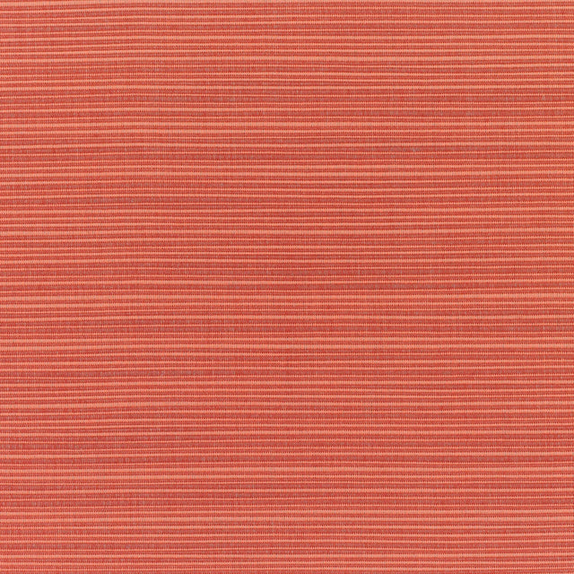 54" Sunbrella® Dupione Papaya (8053-0000) Upholstery Fabric Image 1