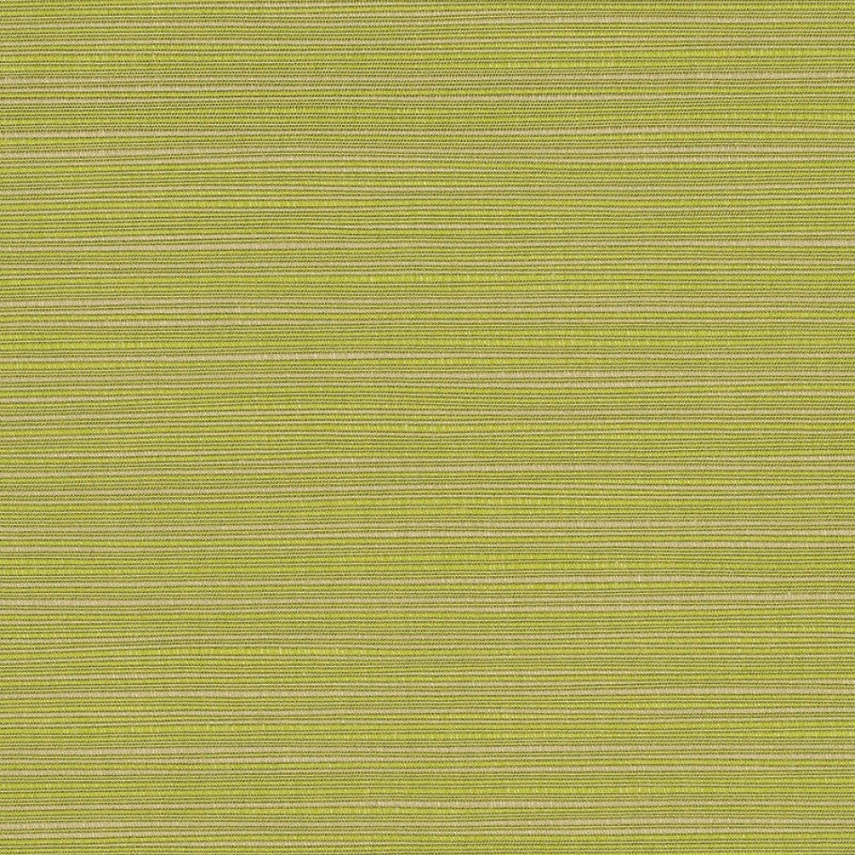 54" Sunbrella® Dupione Peridot (8024-0000) Upholstery Fabric Image 1