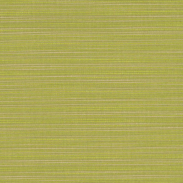 54" Sunbrella® Dupione Peridot (8024-0000) Upholstery Fabric Image 1